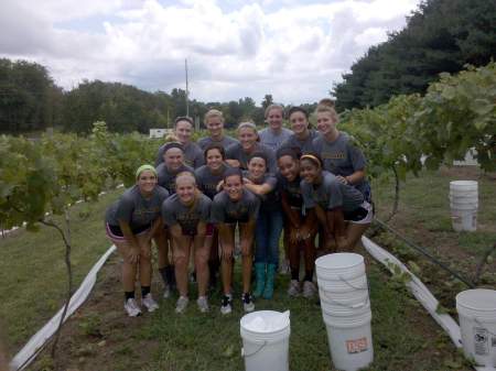 Scottie Volleyball Team Harvests Grapes