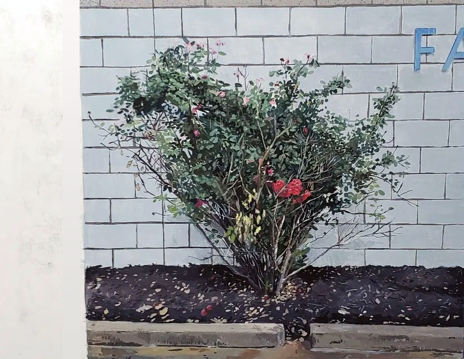 painting of small rose bush planted in front of a white brick wall.