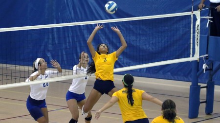 Highland's Pearson Named Setter of the Week